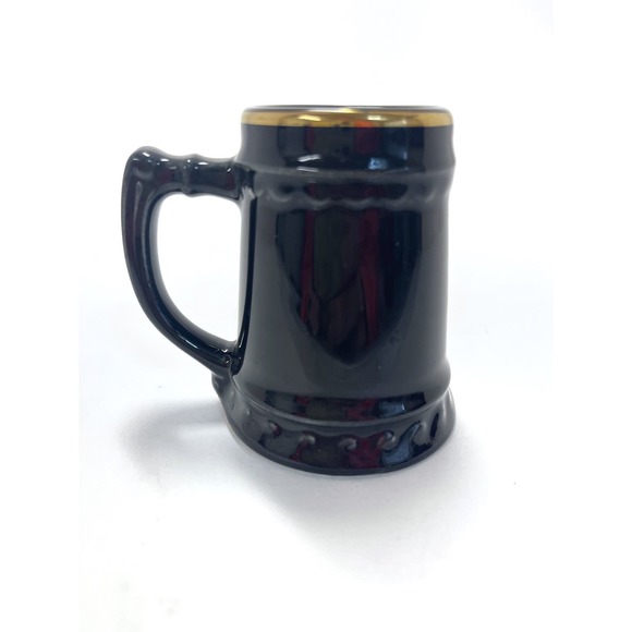 Universitatis Wisconsinensis Sigillum Numen Lumen Stein Shot Glass RARE - Picture 3 of 5